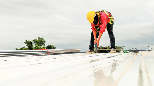 Best Sheet Metal Roofing  in Curwensville, PA